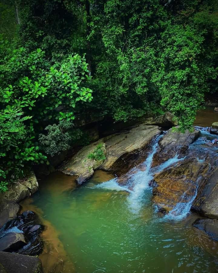 Nisha Homestay Inn Peradeniya Kültér fotó