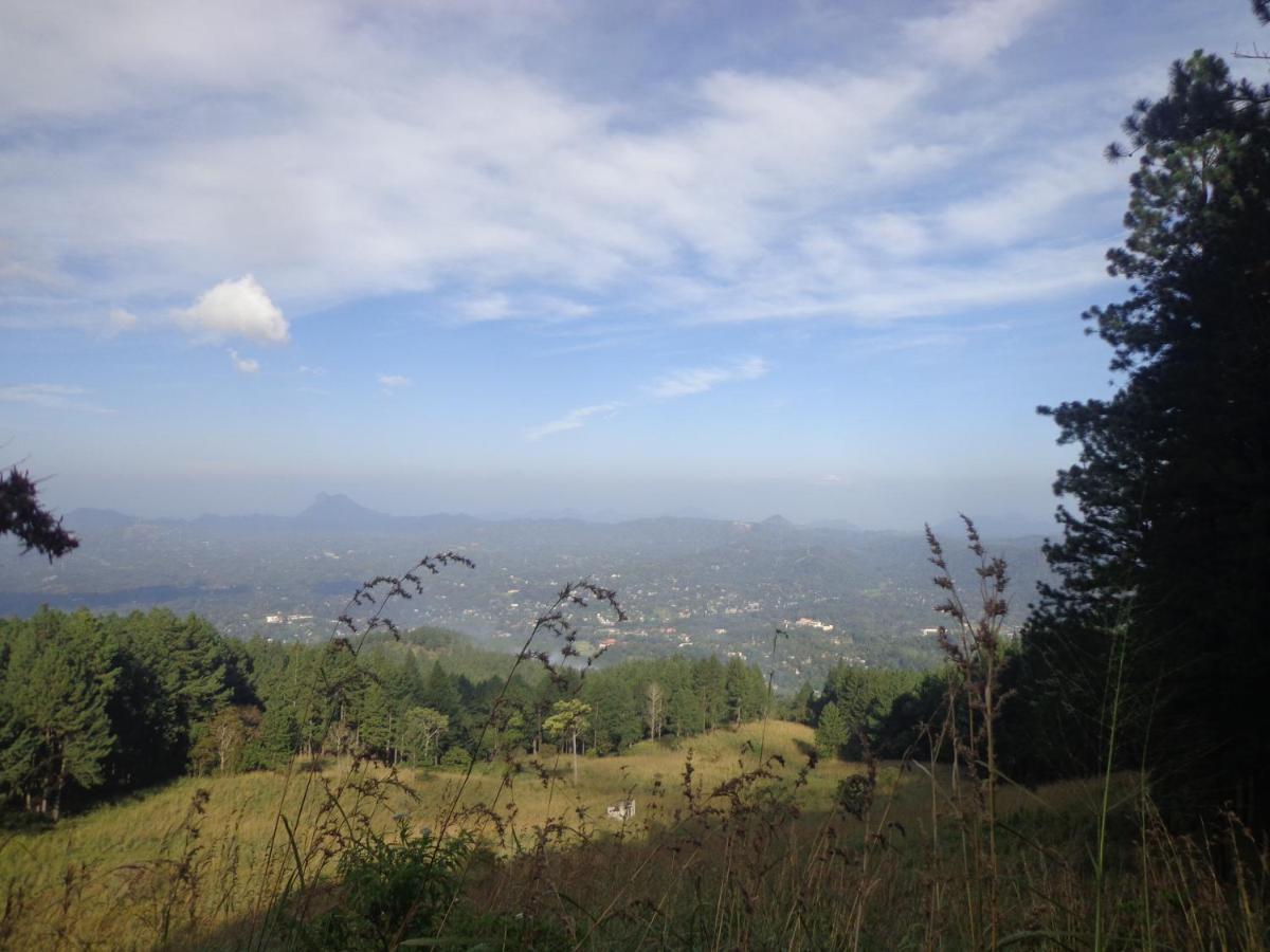 Nisha Homestay Inn Peradeniya Kültér fotó